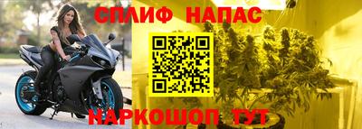 мдпв Пугачёв