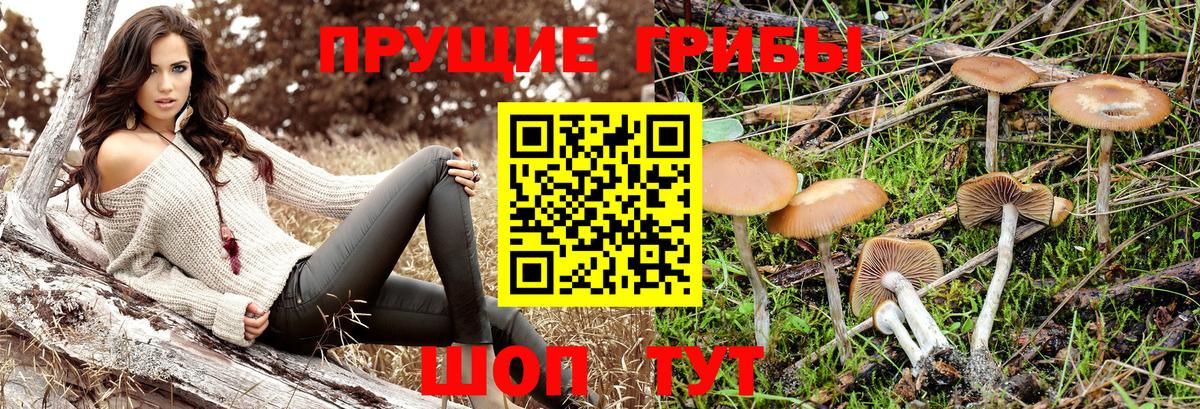 Псилоцибиновые грибы Cubensis  Псилоцибиновые грибы MAGIC MUSHROOMS  Вход с VPN  Нягань 