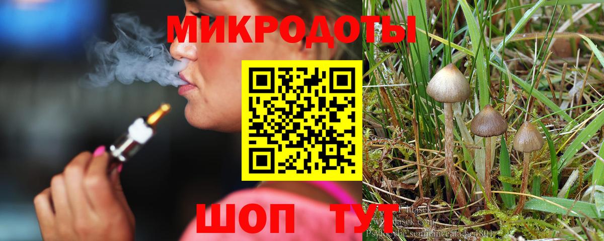 Галлюциногенные грибы Psilocybine cubensis Нягань